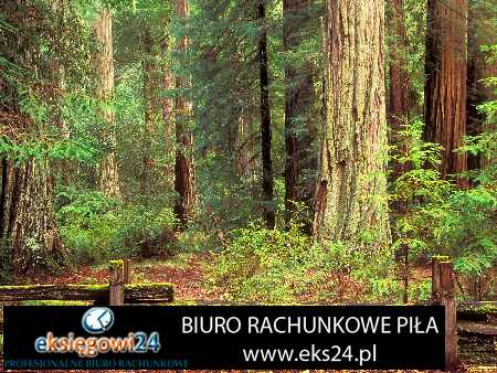 biuro podatkowe w Pile