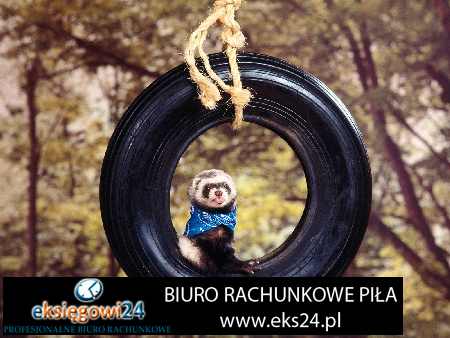 Biura rachunkowe Pila