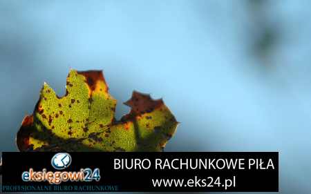 Biura rachunkowe w Pile Biura rachunkowe w Pile