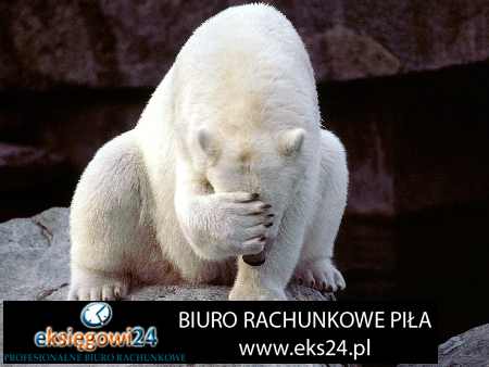 księgowa Jastrowie
