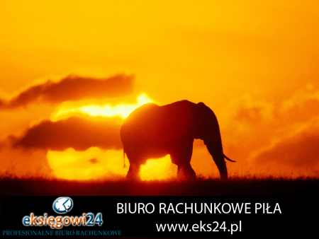 Biuro rachunkowe w Pile