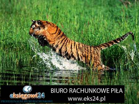 biura podatkowe Piła