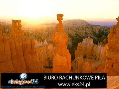 tapety na ścianę winylowe