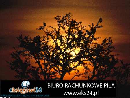 Biuro rachunkowe Pila Biuro rachunkowe Pila