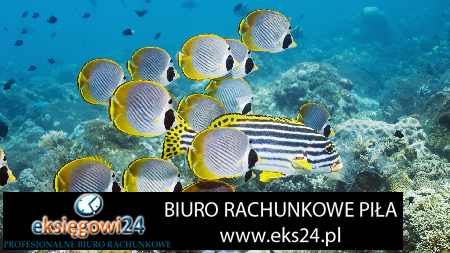 najlepsze biuro rachunkowe Piła