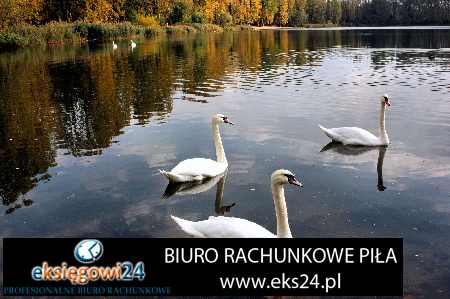Biuro rachunkowe w Pile