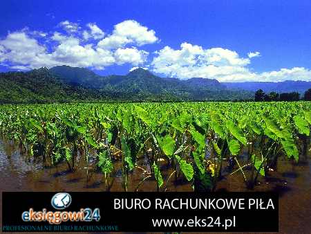 biura rachunkowe Piła