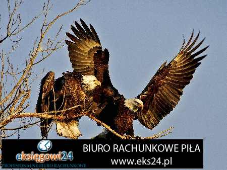 biura rachunkowe Piła