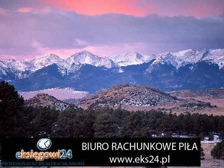 modna tapeta ścienna