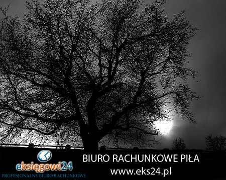 Piła biuro rachunkowe