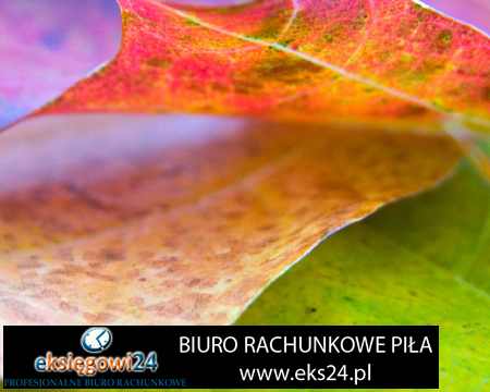 tanie biuro księgowe Piła