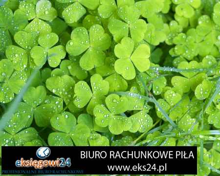Chodzież biuro podatkowe