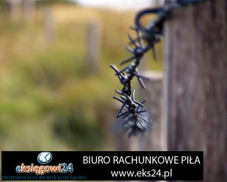 Czarnków księgowość