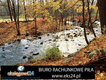 biura rachunkowe Piła