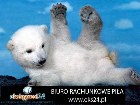 Pila biura rachunkowe