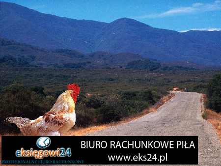 Piła biuro księgowy