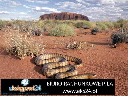 Biuro rachunkowe Pila