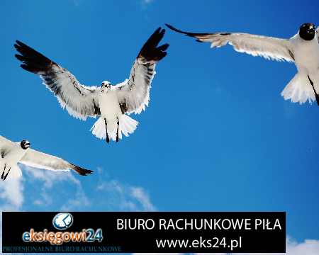 Biuro rachunkowe w Pile