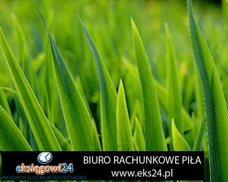 rachunkowosc Pila