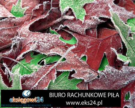 tapety ścienne