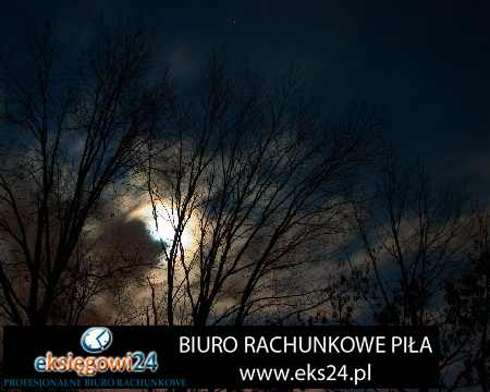 tapety ścienne ekskluzywne