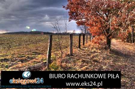 Wałcz biuro rachunkowe