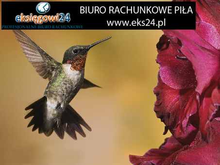 biuro rachunkowe Piła